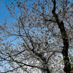 IMG20230410141803