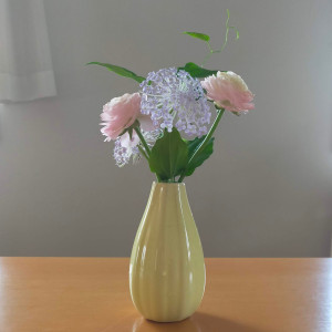 IMG20250325094901