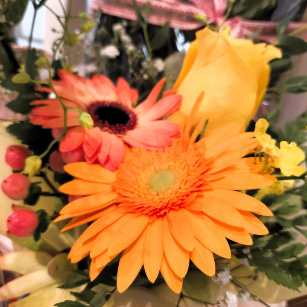 経過報告💞闘病中の妻について…